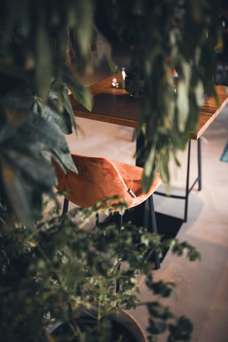 a plant outside with a building in the back