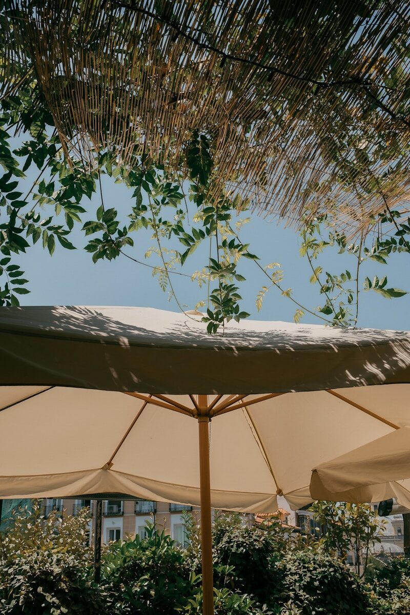 A group of umbrellas sitting on top of a lush green field
