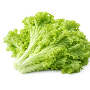 Lettuce